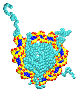 nucleosome